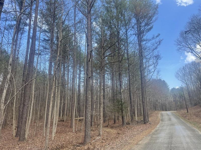 470 Acres in Perry Co, Tennessee : Linden : Perry County : Tennessee