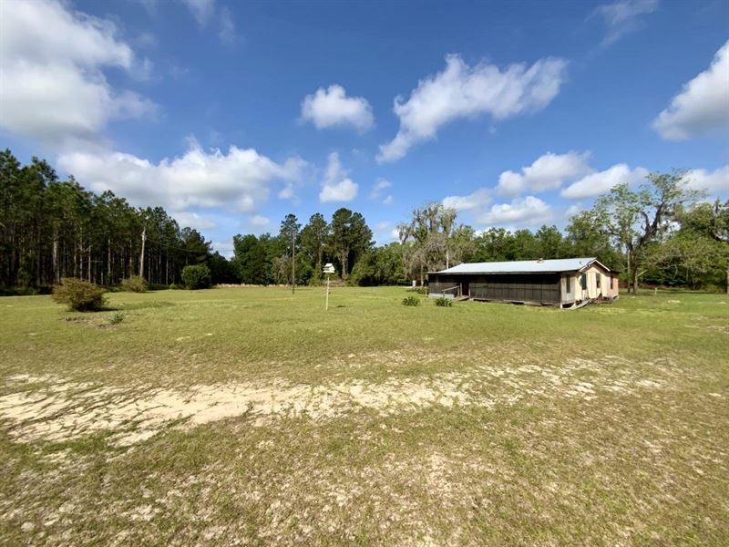 3638 NE Persimmon Drive : Pinetta : Madison County : Florida