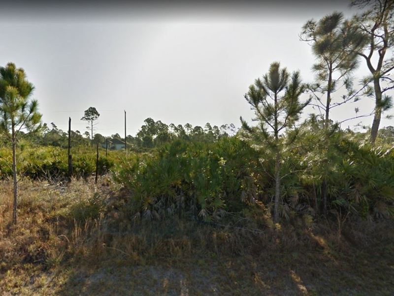 .23 Acres in Palm Bay, FL : Palm Bay : Brevard County : Florida