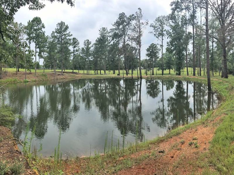 Joe Reeves Road Tract : Castleberry : Conecuh County : Alabama