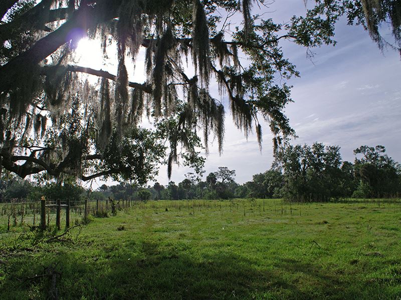 Lazy W Ranch in Felda, Florida : Felda : Hendry County : Florida