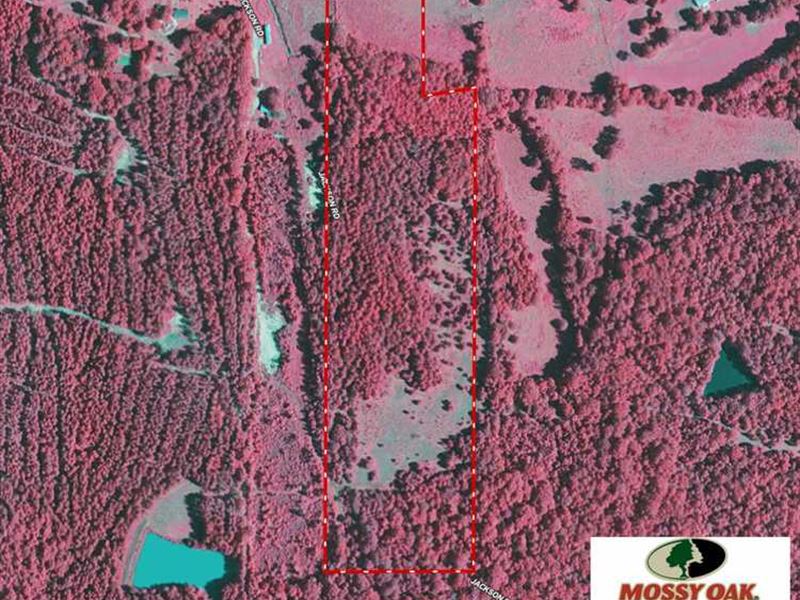 Just Reduced, 25 Acre Hunti : Canton : Madison County : Mississippi