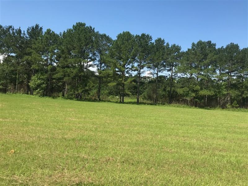 Just Piddling Farm : Bainbridge : Decatur County : Georgia