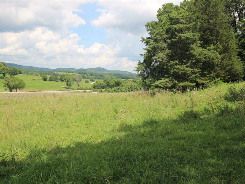 Prime 18.98 Acres : College Grove : Rutherford County : Tennessee