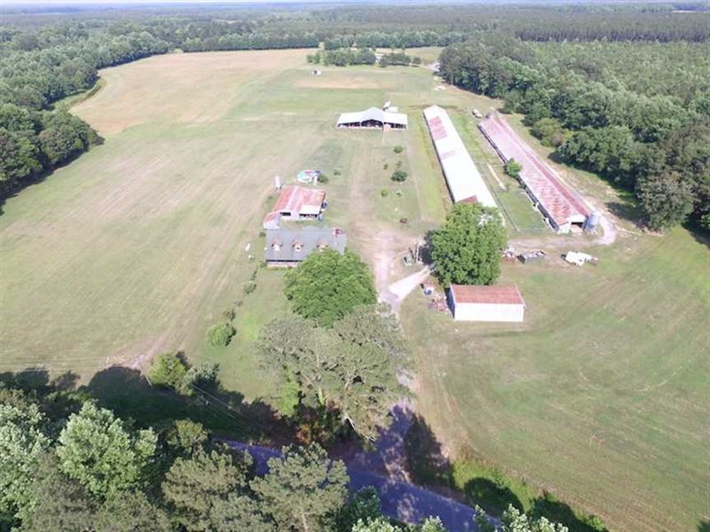 Under Contract, 55 Acres of Farm : Suffolk : Suffolk County : Virginia