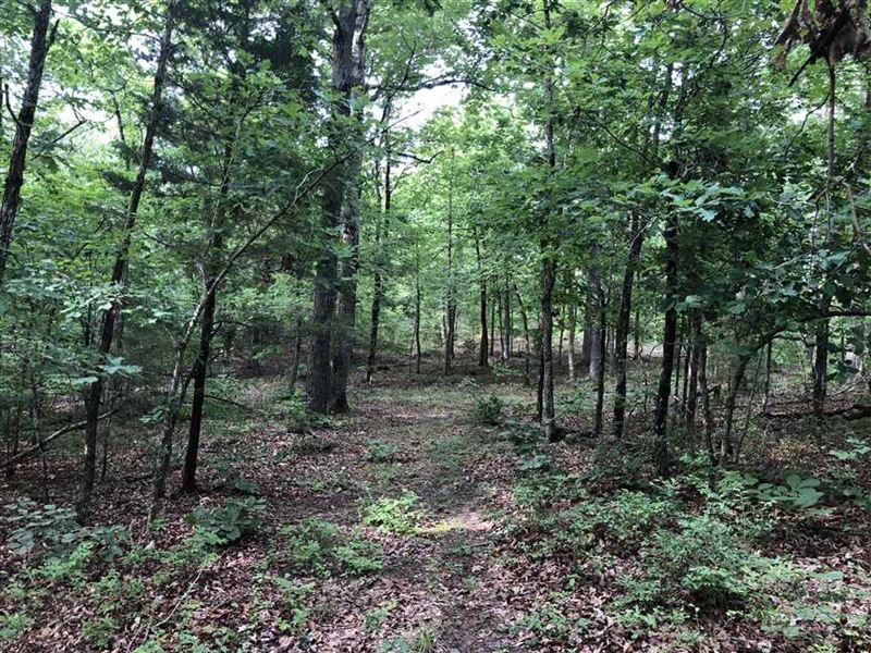 Deer Hunters 83 Acres with Spri : Cave City : Sharp County : Arkansas