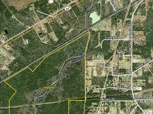 440 Acres Cow Bayou : Mauriceville : Orange County : Texas