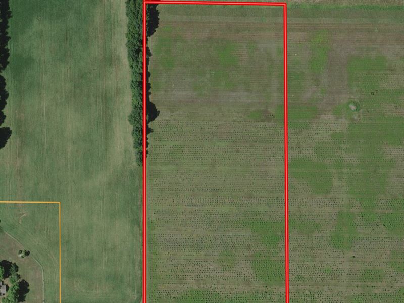 Tract 3, 10 AC / E 650 N Walkerton : Walkerton : Starke County : Indiana
