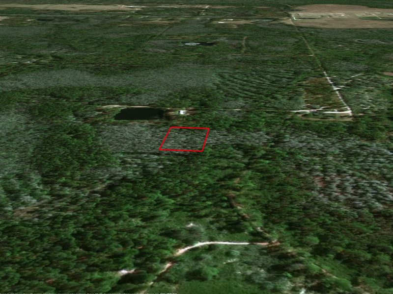 Groveland Ranch Investment Land : Polk City : Polk County : Florida