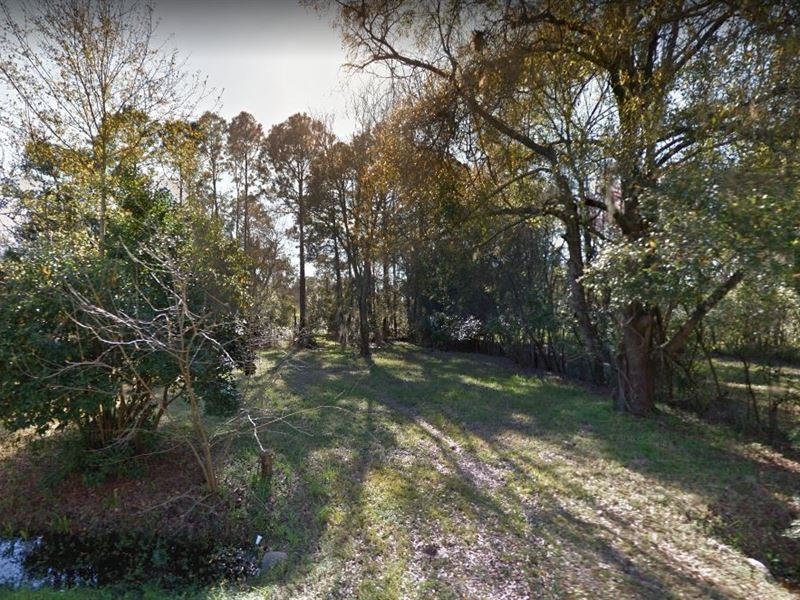 .59 Acres in Jacksonville, FL : Jacksonville : Duval County : Florida