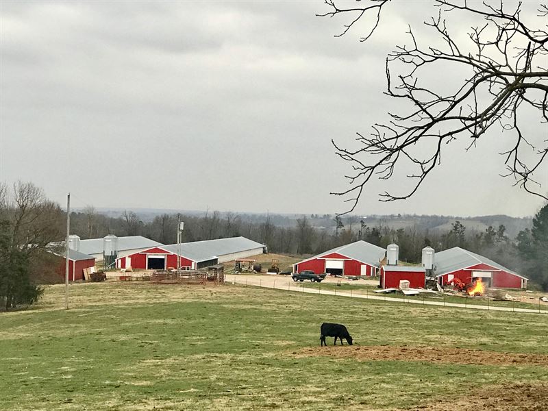 Poultry Farm with 104 Acres : Omaha : Boone County : Arkansas