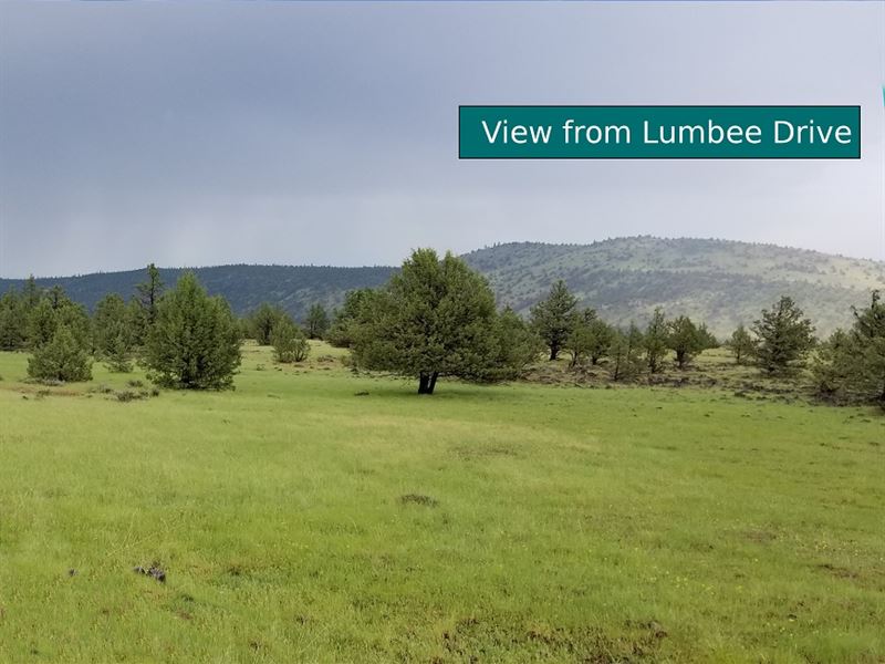 2.5 Acres Little Valley, Ca : Little Valley : Lassen County : California