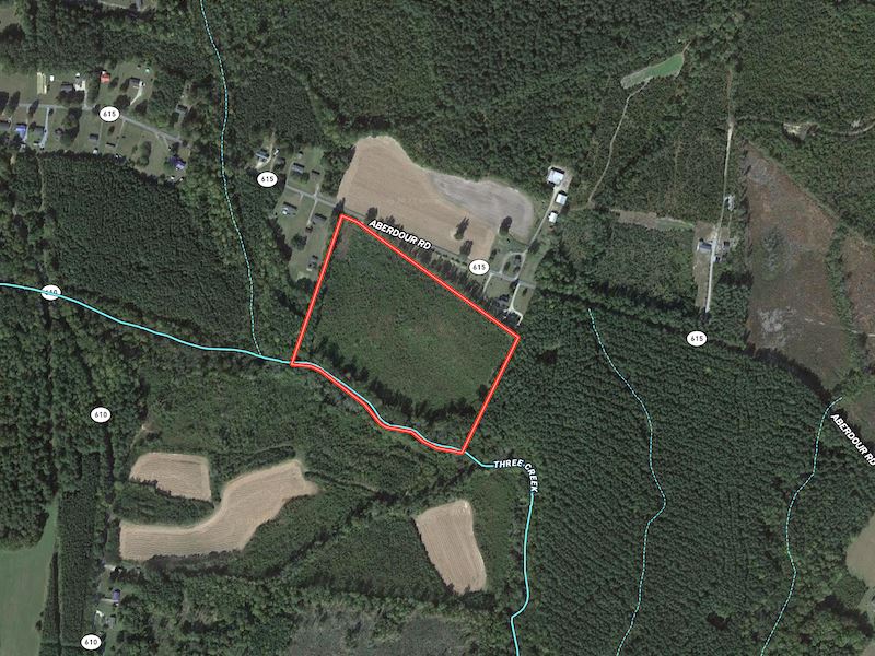 19 Acres of Timbe : Jarratt : Greensville County : Virginia