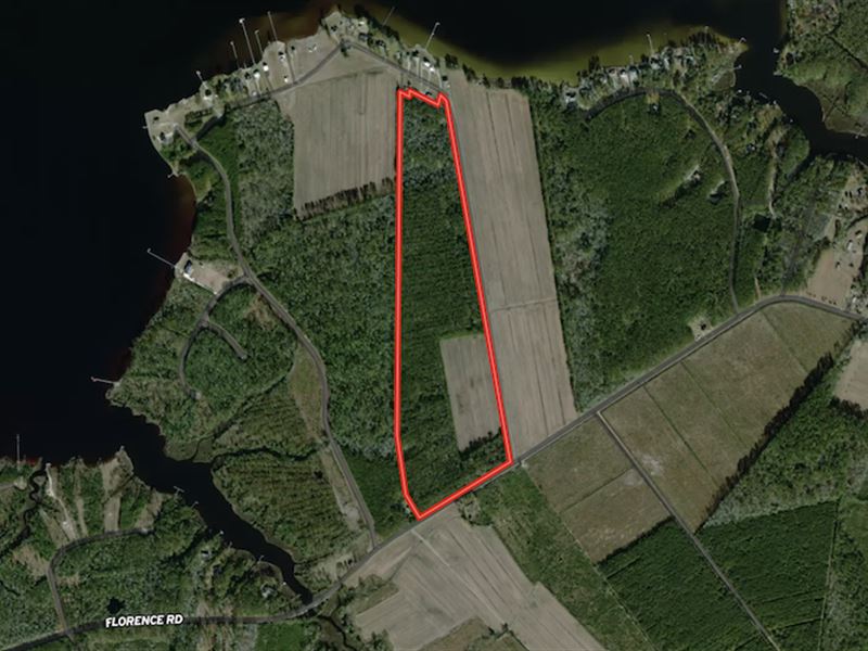 79.5 Acres of Wat : Merritt : Pamlico County : North Carolina