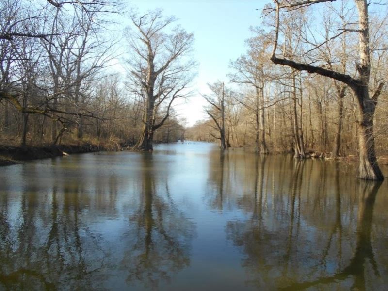 Equity Share With A Cabin In Coahom : Sherard : Coahoma County : Mississippi