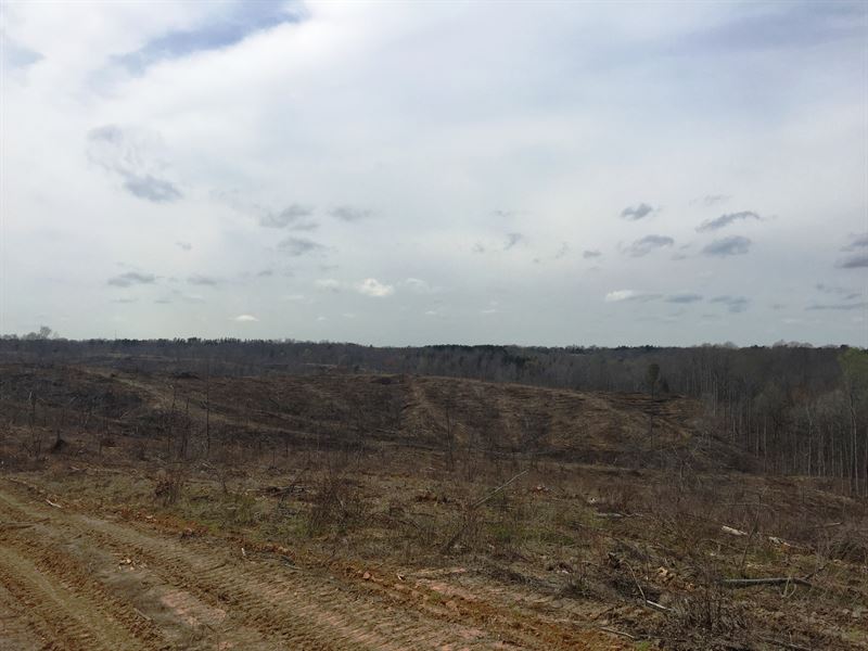 Tract 1590 : Bolivar : Hardeman County : Tennessee