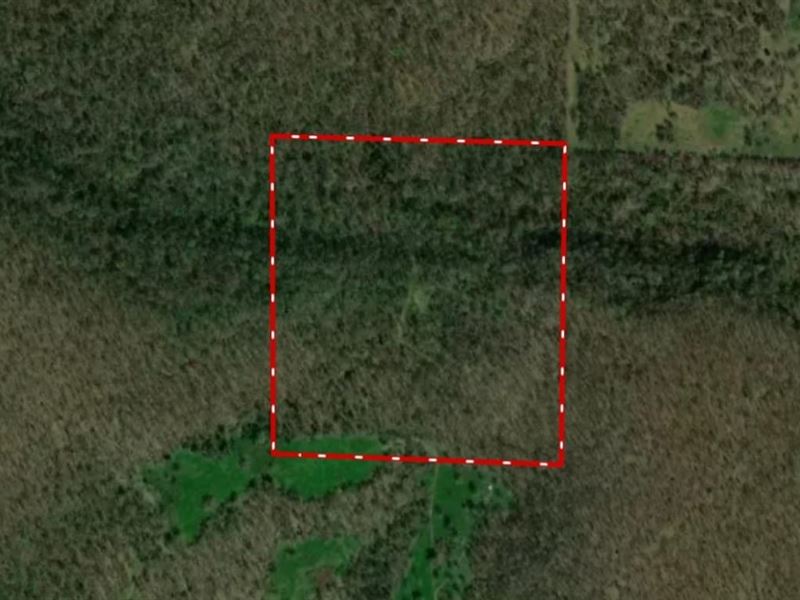 Carroll 37 : Alpena : Carroll County : Arkansas