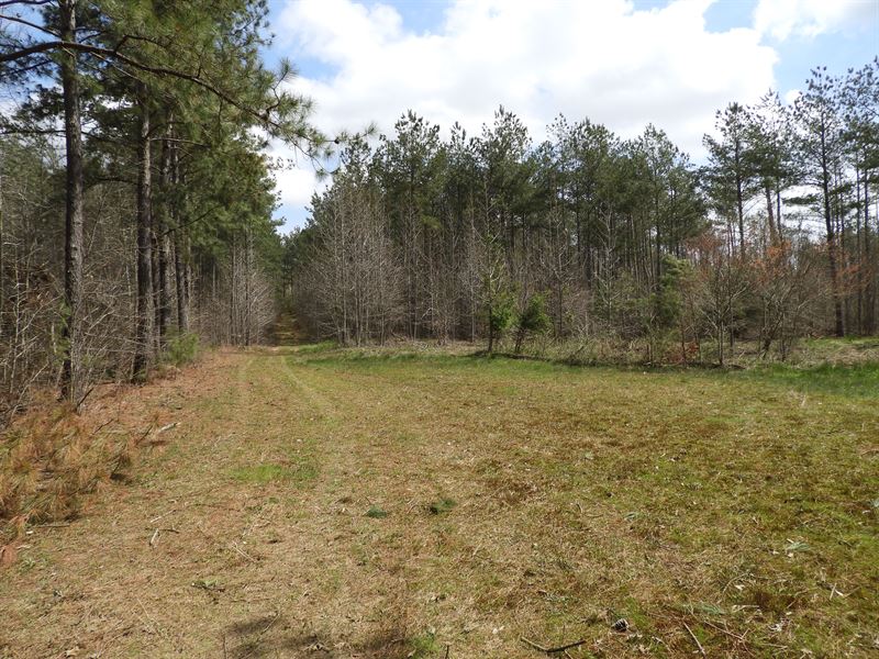 West Broad Street : Tallapoosa : Haralson County : Georgia