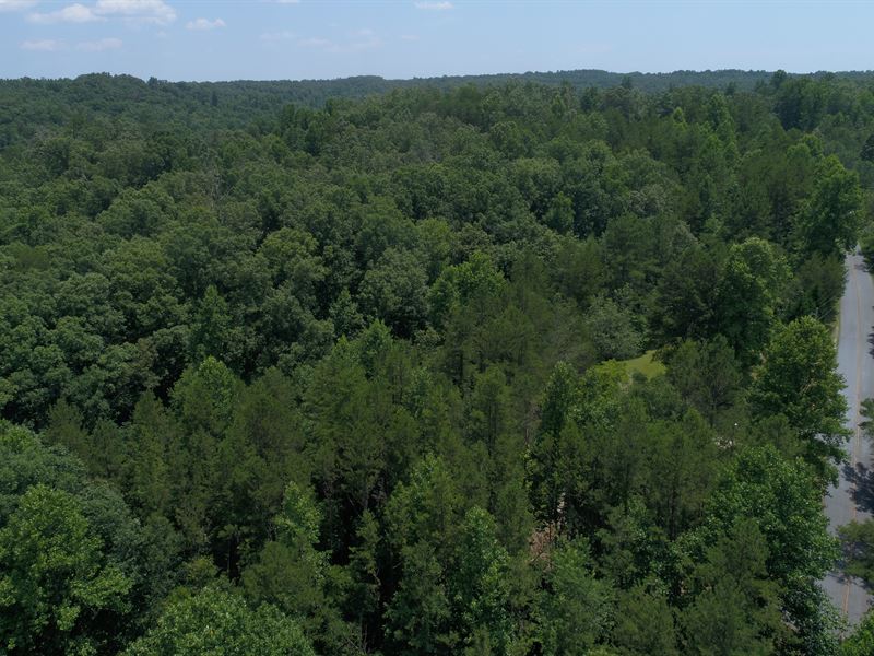 Wooded Acreage with Creek : Walhalla : Oconee County : South Carolina