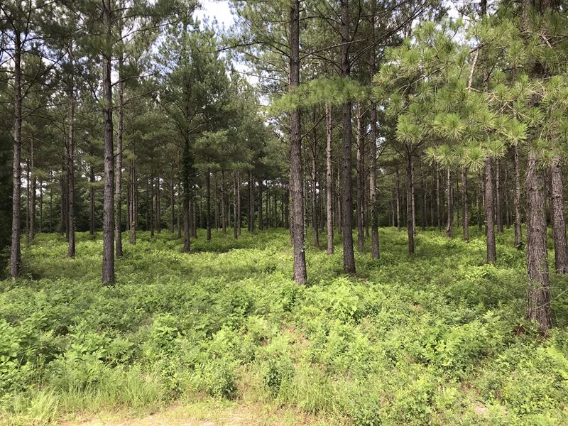 Hideaway Harbor 88 : Andalusia : Covington County : Alabama