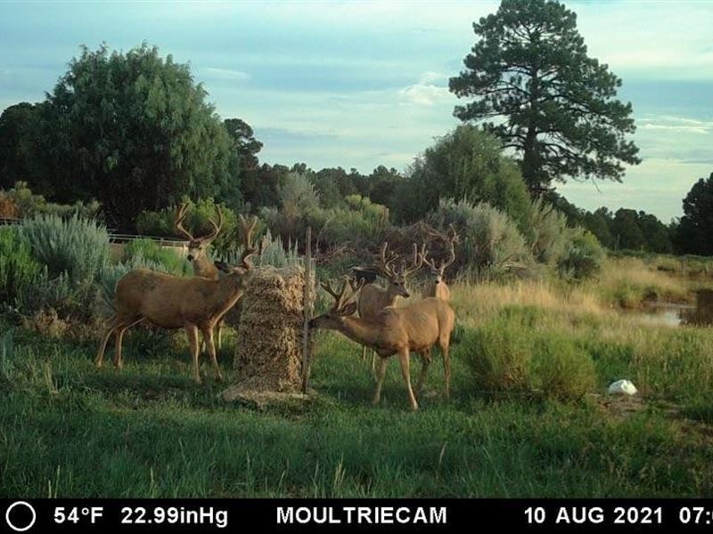 Secret Valley Ranch : Lindrith : Rio Arriba County : New Mexico