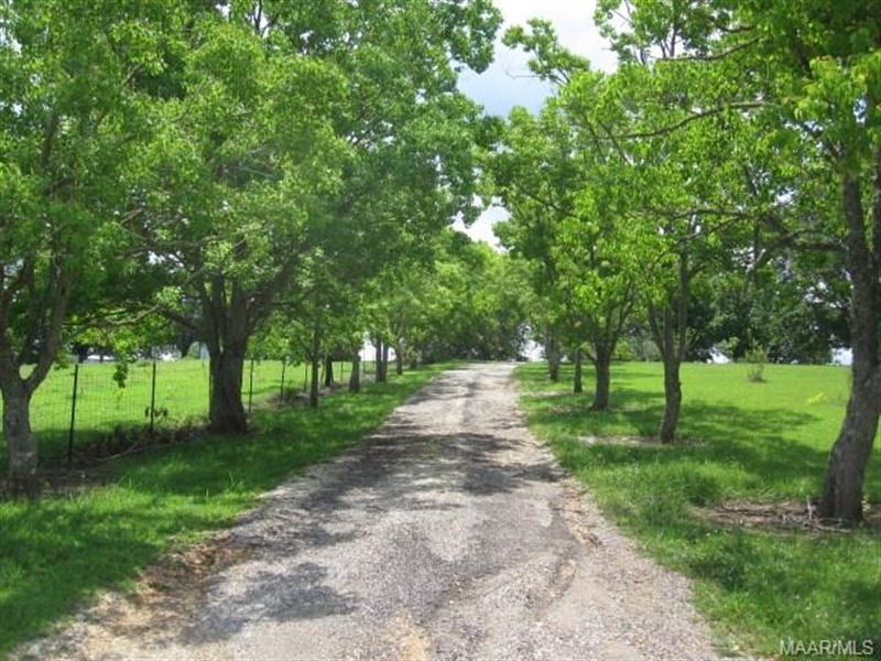 32 +/- Acres, Horse Barn, and Ponds : Hayneville : Lowndes County : Alabama