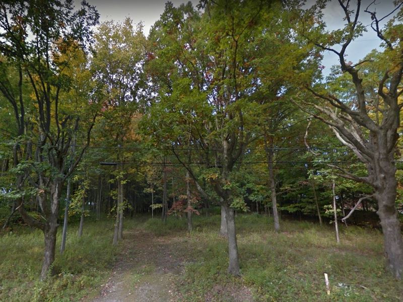 Lake County, Oh $45,000 Neg : Painesville : Lake County : Ohio