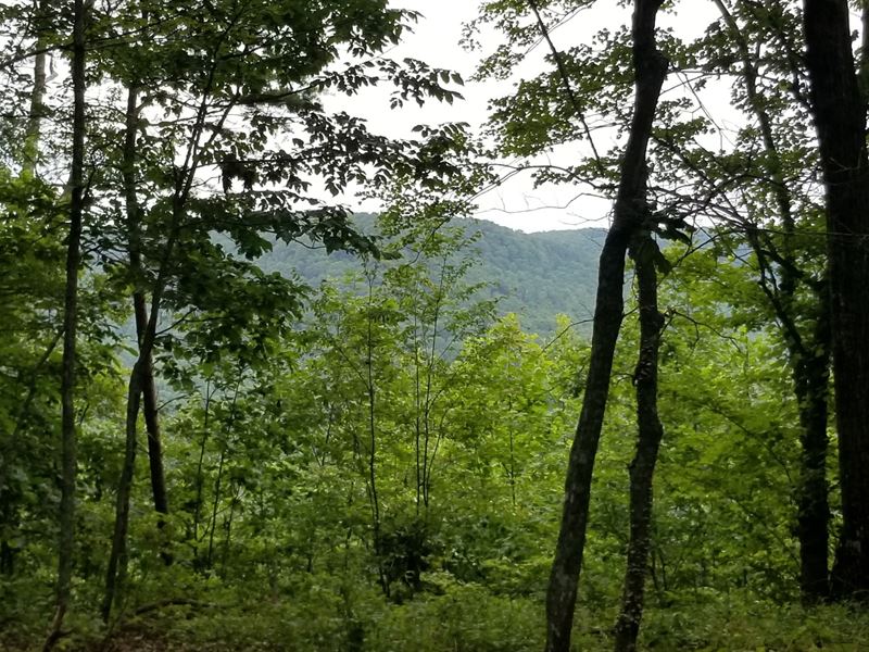 5.49+/- Acres Wooded Tract, Views : South Pittsburg : Marion County : Tennessee