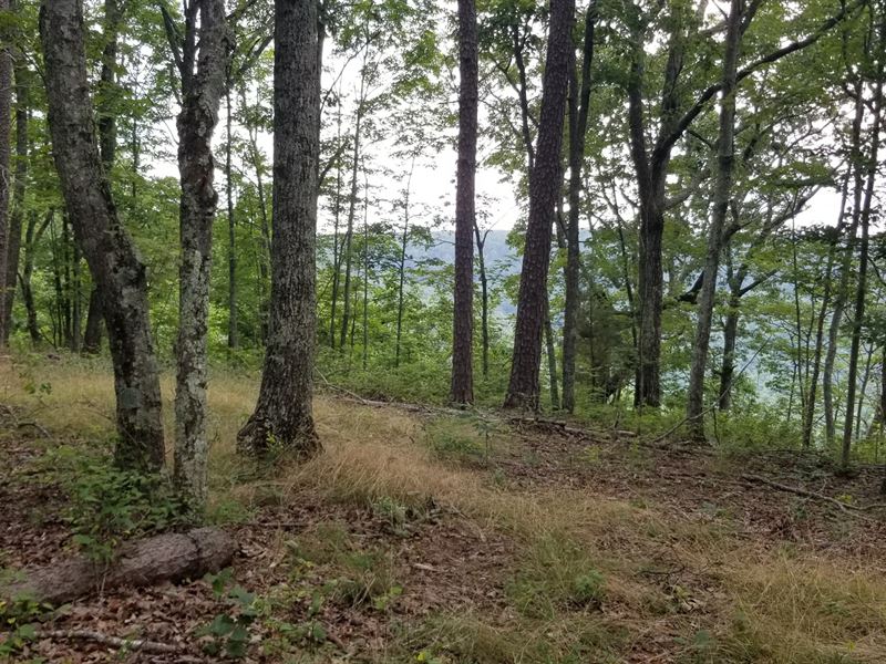 8.16+/- Acres Secluded with Views : South Pittsburg : Marion County : Tennessee