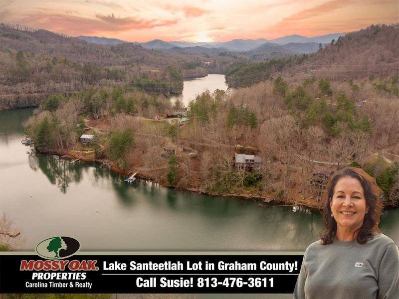 Lake Santeetlah Lot : Robbinsville : Graham County : North Carolina