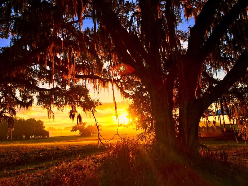 210 Acre Ranch on Bystre Lake : Brooksville : Hernando County : Florida