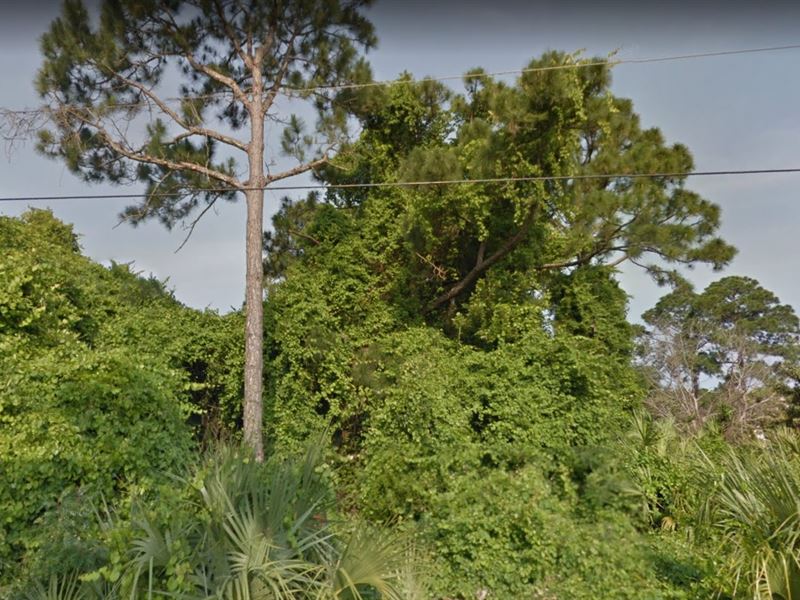 Brevard County, Florida $40,000 : Land for Sale in Cocoa, Brevard County, Florida : #154759 ...