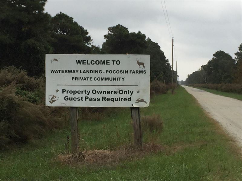 Hyde County Hunting Property : Belhaven : Hyde County : North Carolina