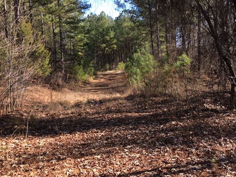 Kitchens, Pontotoc Tract : Randolph : Pontotoc County : Mississippi
