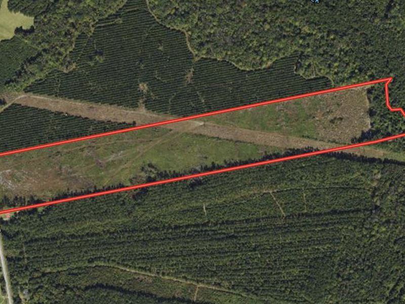 40.57 Acres of Re : New Bern : Craven County : North Carolina