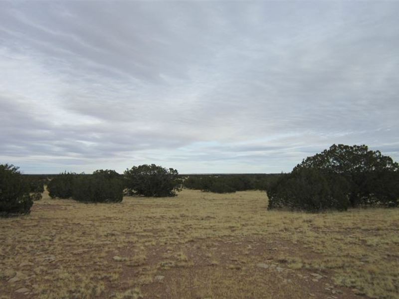 5 Acres in Holbrook, AZ : Holbrook : Navajo County : Arizona