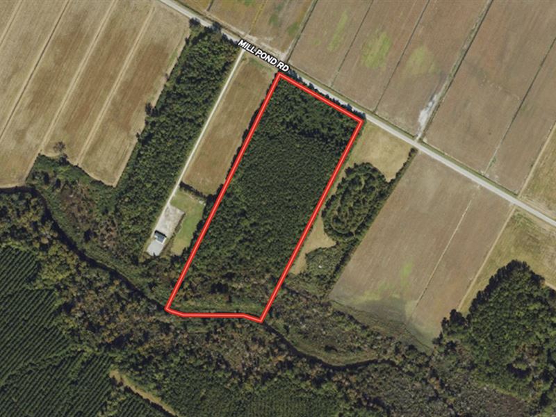 15.24 Acres of Re : Bayboro : Pamlico County : North Carolina