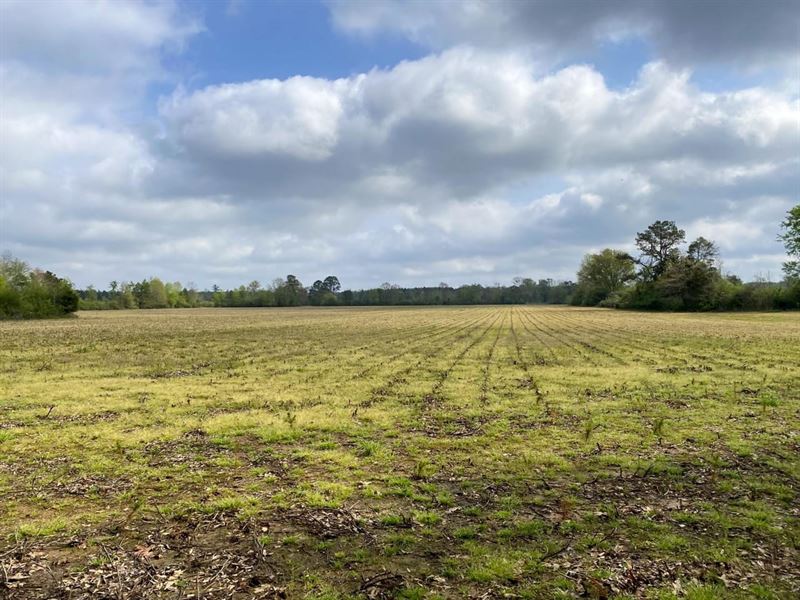 Sobley Road : Columbus : Lowndes County : Mississippi