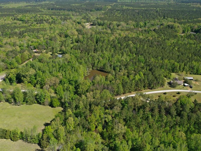 Mantee 21 Prime : Mantee : Webster County : Mississippi