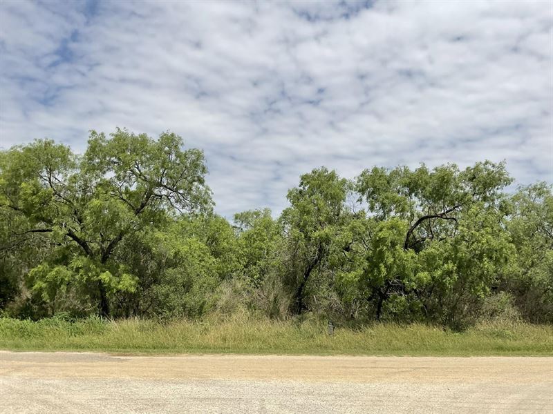 Lopez 4 ac : Floresville : Wilson County : Texas