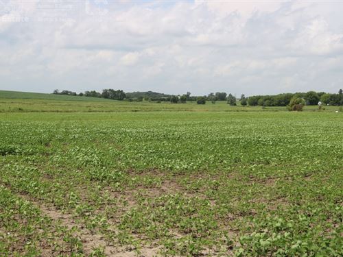 Country Lot In Watertown Wi : Watertown : Dodge County : Wisconsin