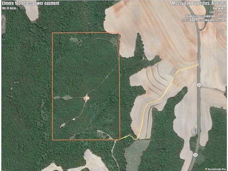 Great Hunting Tract in Elmore Coun : Deatsville : Elmore County : Alabama