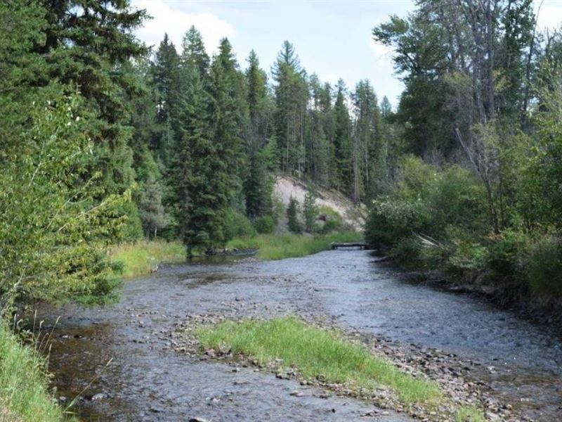 Wild River Ranch : Condon : Missoula County : Montana