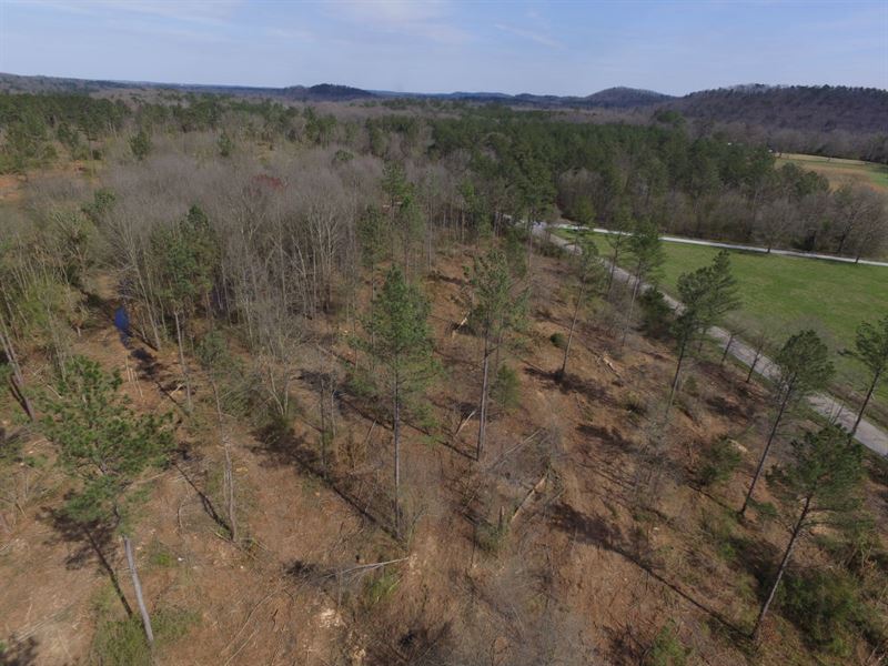 Cedartown Farms, 3.05 Acre Lot : Cedartown : Polk County : Georgia