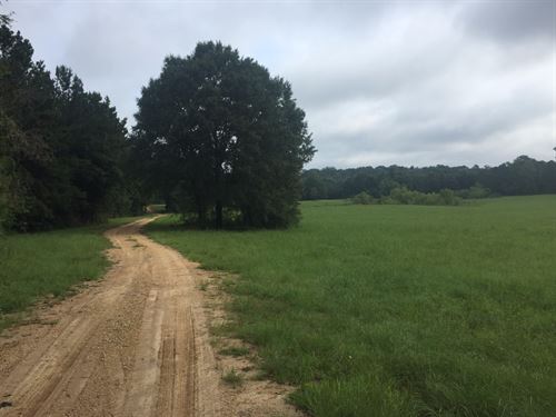 Hwy 27 Crystal Springs : Crystal Springs : Copiah County : Mississippi