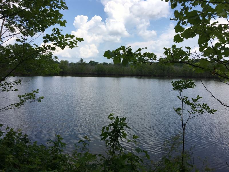 MS Delta Hunting Property, Formerl Land for Sale in Mayersville