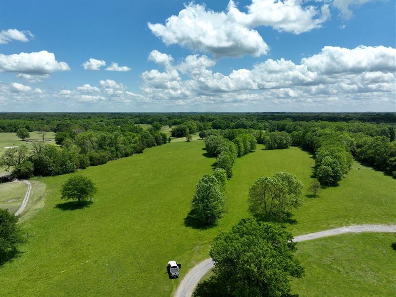 20 Acres Fairway Drive : Pike Road : Montgomery County : Alabama