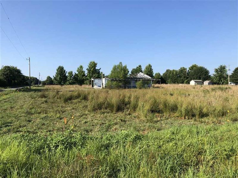 5 Acre Parcel Bostic Road. Excell : Searcy : White County : Arkansas