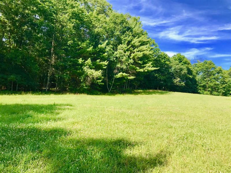 80 Acres Land, Hardwoods and Meadow : Benton : Columbia County : Pennsylvania