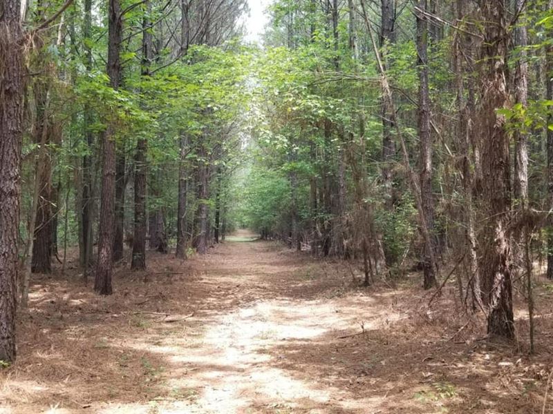 Horseshoe Loop Dugdemona Tract, Win : Winnfield : Winn Parish : Louisiana